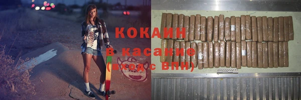 гашик Аркадак