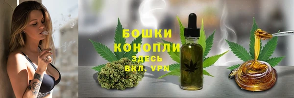 крисы Армянск