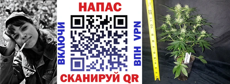 мега ТОР  закладки  Барабинск  Каннабис White Widow 